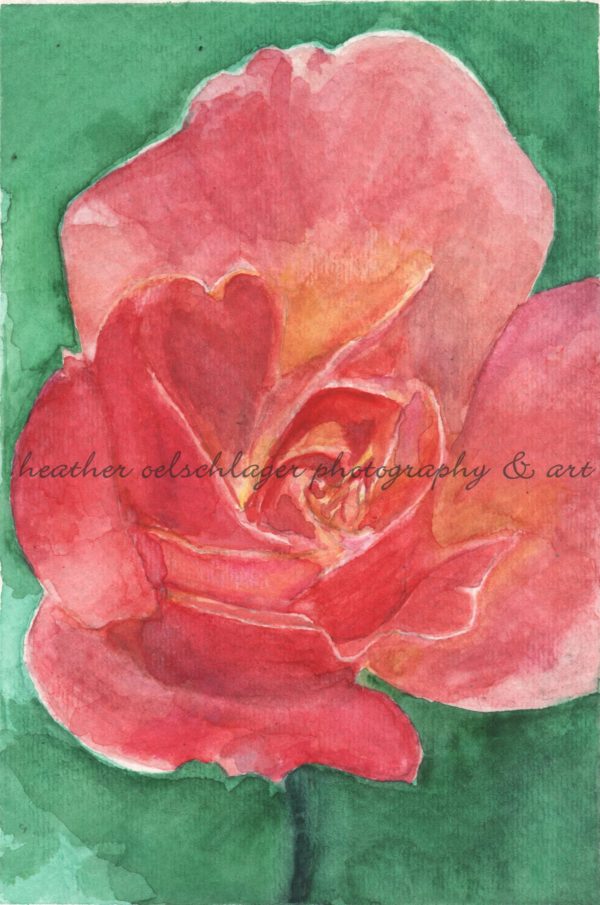 rosa de la familia watercolor shop art