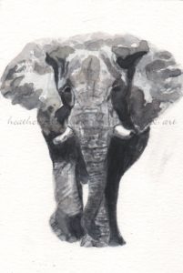 elephant original artwork fine art magnet