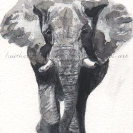 elephant original artwork fine art magnet