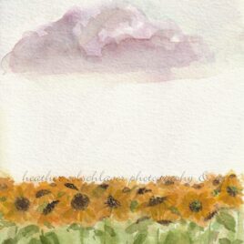 august watercolor art print for sale sunflowers rain