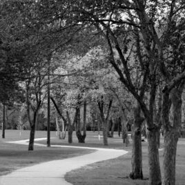 walk the pretty place black and white photograph print for sale by artist