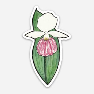 ladyslipper sticker watercolor painting heather oelschlager