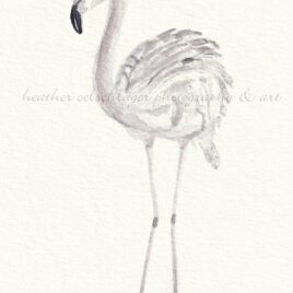 flamingo watercolor painting fine art print heather oelschlager