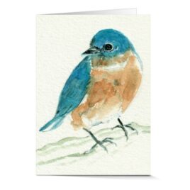 bluebird watercolor artwork greeting card heather oelschlager